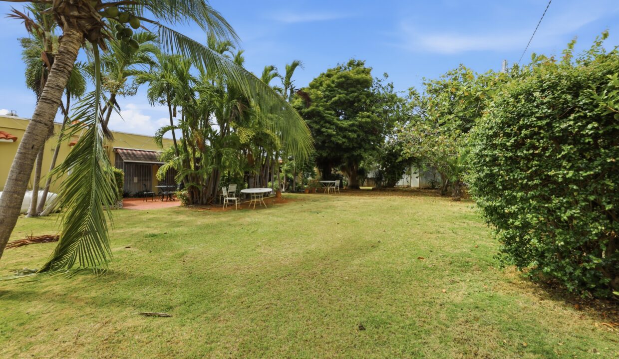 PATIO 1